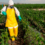 Treinamento de NR 31 – Segurança na Agricultura